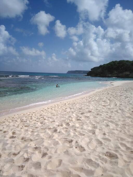 Villa Sous Le Manguier-Anse Bertrand 5Min Plage Esterno foto