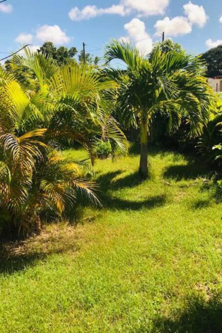 Villa Sous Le Manguier-Anse Bertrand 5Min Plage Esterno foto